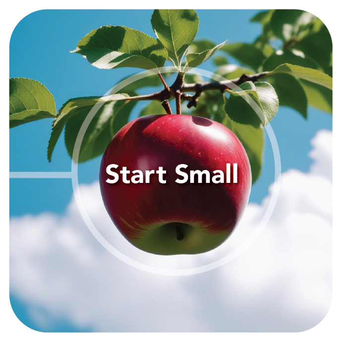think big-start small-02
